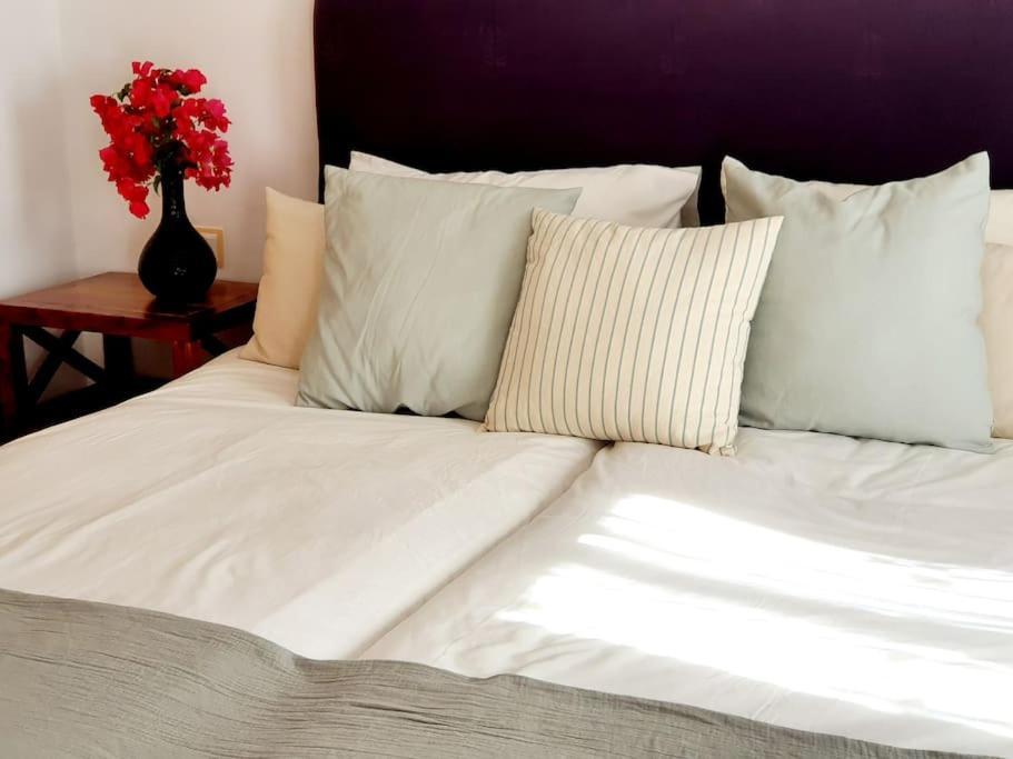 Villa Jacaranda Altaona Golf Murcia Exteriör bild